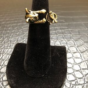 Adjustable cat chasing fish ring